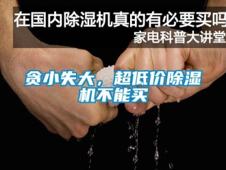 知識百科貪小失大，超低價(jià)除濕機(jī)不能買