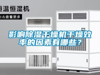 知識(shí)百科影響除濕干燥機(jī)干燥效率的因素有哪些？