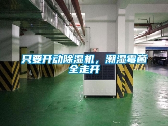 行業(yè)新聞只要開動除濕機，潮濕霉菌全走開