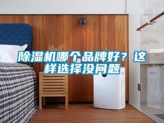 常見問題除濕機哪個品牌好？這樣選擇沒問題