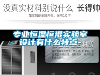 知識(shí)百科專業(yè)恒溫恒濕實(shí)驗(yàn)室設(shè)計(jì)有什么特點(diǎn)-