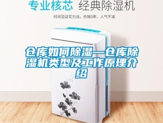 企業(yè)新聞倉庫如何除濕—倉庫除濕機類型及工作原理介紹