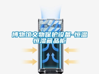 知識百科博物館文物保護(hù)設(shè)備-恒溫恒濕藏品柜