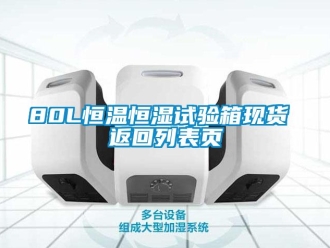 常見問題80L恒溫恒濕試驗箱現(xiàn)貨 返回列表頁
