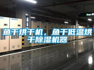 知識百科魚干烘干機，魚干低溫烘干除濕機器