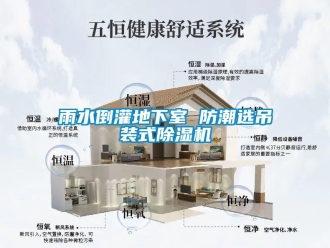知識(shí)百科雨水倒灌地下室 防潮選吊裝式除濕機(jī)