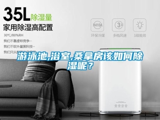 常見問題游泳池,浴室,桑拿房該如何除濕呢？