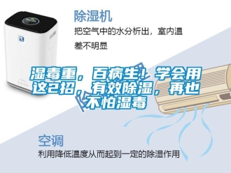 知識百科濕毒重，百病生！學會用這2招，有效除濕，再也不怕濕毒