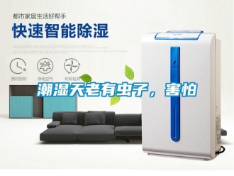 企業(yè)新聞潮濕天老有蟲(chóng)子，害怕