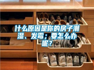 常見問題什么原因是你的房子潮濕、發(fā)霉；要怎么辦呢？