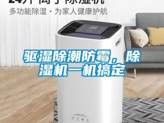 行業(yè)新聞驅(qū)濕除潮防霉，除濕機(jī)一機(jī)搞定