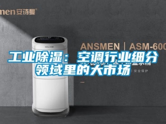企業(yè)新聞工業(yè)除濕：空調(diào)行業(yè)細(xì)分領(lǐng)域里的大市場