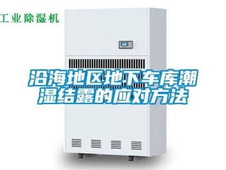 知識(shí)百科沿海地區(qū)地下車庫潮濕結(jié)露的應(yīng)對(duì)方法
