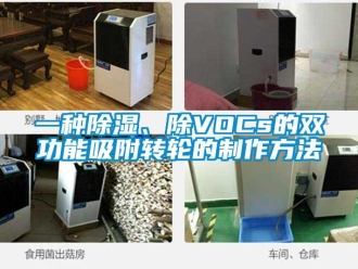 常見問題一種除濕、除VOCs的雙功能吸附轉輪的制作方法