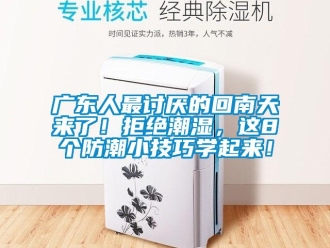 行業(yè)新聞廣東人最討厭的回南天來了！拒絕潮濕，這8個防潮小技巧學起來！