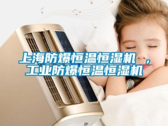 知識百科上海防爆恒溫恒濕機 ，工業(yè)防爆恒溫恒濕機