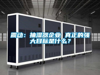 知識百科震動：抽濕器企業(yè) 真正的強大目標(biāo)是什么？
