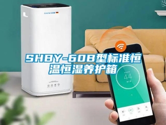 常見問題SHBY-60B型標準恒溫恒濕養(yǎng)護箱