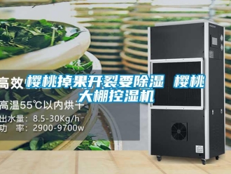 知識(shí)百科櫻桃掉果開(kāi)裂要除濕 櫻桃大棚控濕機(jī)