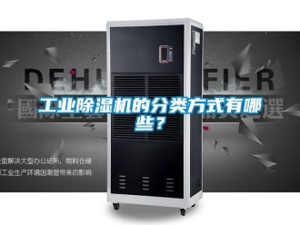 企業(yè)新聞工業(yè)除濕機(jī)的分類方式有哪些？