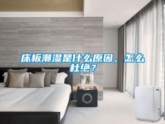 常見問題床板潮濕是什么原因，怎么杜絕？