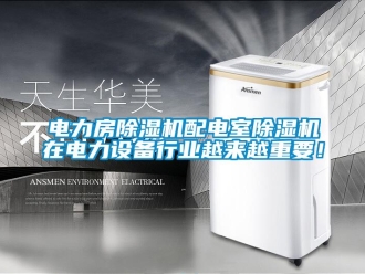 企業(yè)新聞電力房除濕機(jī)配電室除濕機(jī)在電力設(shè)備行業(yè)越來(lái)越重要！