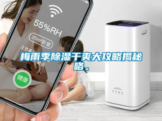 行業(yè)新聞梅雨季除濕干爽大攻略揭秘咯。