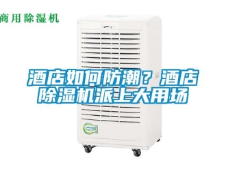 常見(jiàn)問(wèn)題酒店如何防潮？酒店除濕機(jī)派上大用場(chǎng)