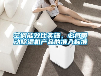 行業(yè)新聞空調(diào)能效比實(shí)施，必將帶動(dòng)除濕機(jī)產(chǎn)品的準(zhǔn)入標(biāo)準(zhǔn)