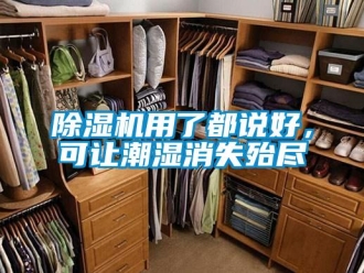 企業(yè)新聞除濕機用了都說好，可讓潮濕消失殆盡
