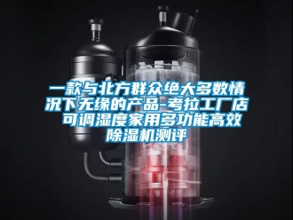 常見問題一款與北方群眾絕大多數(shù)情況下無緣的產(chǎn)品-考拉工廠店 可調(diào)濕度家用多功能高效除濕機(jī)測(cè)評(píng)