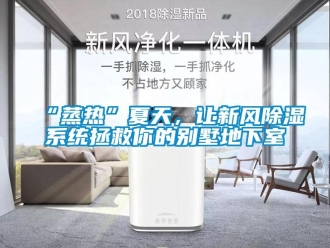 企業(yè)新聞“蒸熱”夏天，讓新風(fēng)除濕系統(tǒng)拯救你的別墅地下室