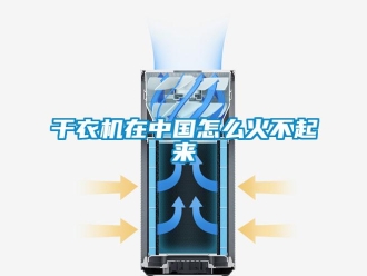 常見(jiàn)問(wèn)題干衣機(jī)在中國(guó)怎么火不起來(lái)