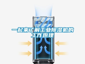 常見(jiàn)問(wèn)題一起來(lái)了解工業(yè)除濕機(jī)的工作原理