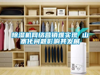 常見問題除濕機網(wǎng)絡(luò)營銷難實現(xiàn) 山寨化問題影響其發(fā)展