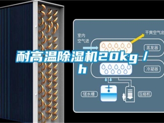 行業(yè)新聞耐高溫除濕機20kg／h