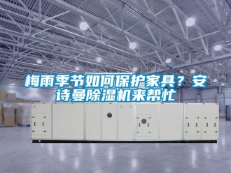 企業(yè)新聞梅雨季節(jié)如何保護家具？安詩曼除濕機來幫忙