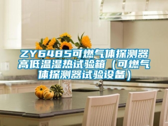 常見問題ZY6485可燃氣體探測器高低溫濕熱試驗箱（可燃氣體探測器試驗設(shè)備）