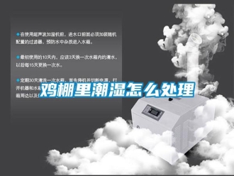 常見問題雞棚里潮濕怎么處理
