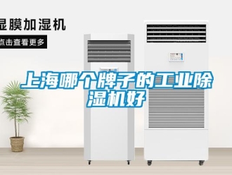 常見問題上海哪個牌子的工業(yè)除濕機(jī)好
