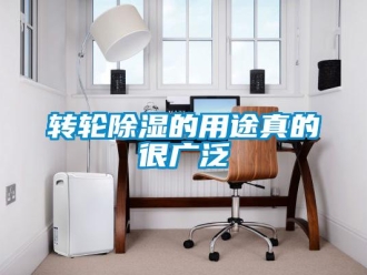 知識(shí)百科轉(zhuǎn)輪除濕的用途真的很廣泛
