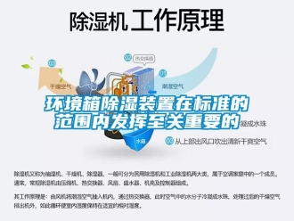 行業(yè)新聞環(huán)境箱除濕裝置在標(biāo)準(zhǔn)的范圍內(nèi)發(fā)揮至關(guān)重要的