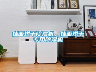 企業(yè)新聞掛面烘干除濕機(jī)，掛面烘干專用除濕機(jī)
