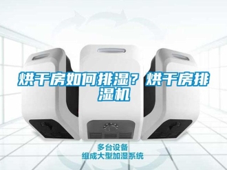 常見(jiàn)問(wèn)題烘干房如何排濕？烘干房排濕機(jī)