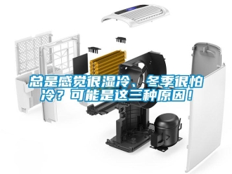 知識百科總是感覺很濕冷、冬季很怕冷？可能是這三種原因！