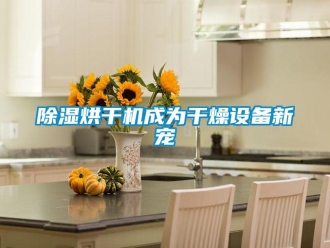 常見問題除濕烘干機(jī)成為干燥設(shè)備新寵