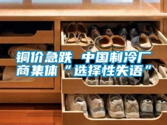 知識(shí)百科銅價(jià)急跌 中國(guó)制冷廠商集體“選擇性失語(yǔ)”