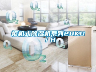 行業(yè)新聞柜機式除濕機系列20KG／H