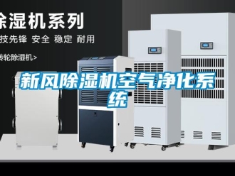 知識(shí)百科新風(fēng)除濕機(jī)空氣凈化系統(tǒng)