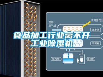 知識百科食品加工行業(yè)離不開工業(yè)除濕機
